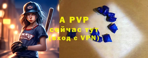 кокс Елизово