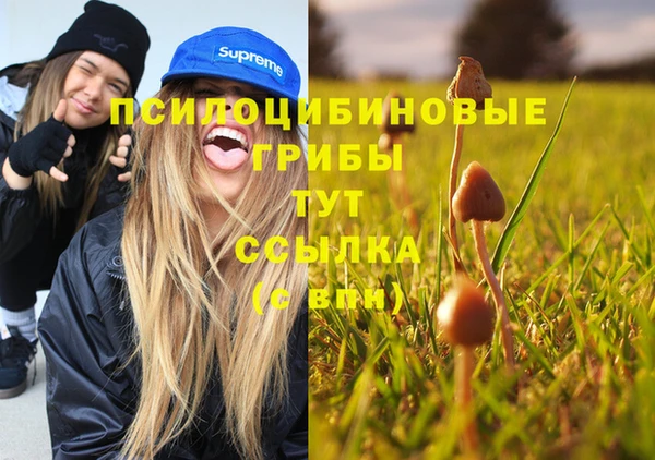 герыч Дмитровск