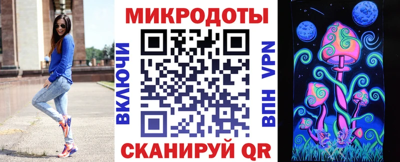 Купить закладки  Моршанск  Псилоцибиновые грибы Psilocybe 