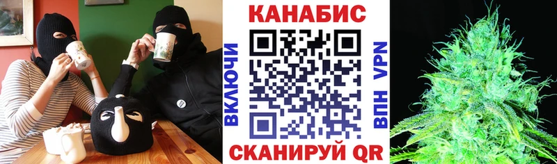 Бошки Шишки ГИДРОПОН Купить Моршанск